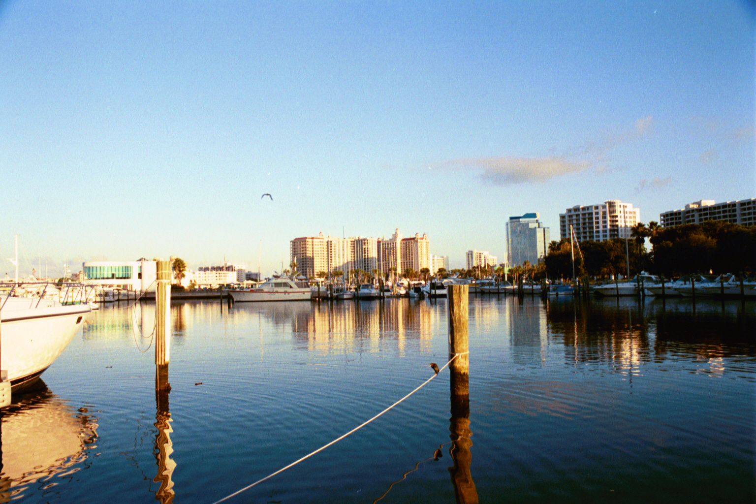 Historic 2007 photograph of Bayfront Park Marina and waterfront buildings along Sarasota Bay in Downtown Sarasota, Florida.